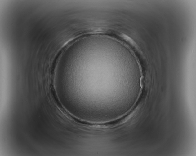 X0000086281449200704191936