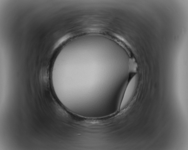 X0000086281450200704191936