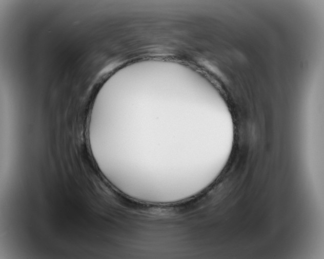 X0000086281451200704191936