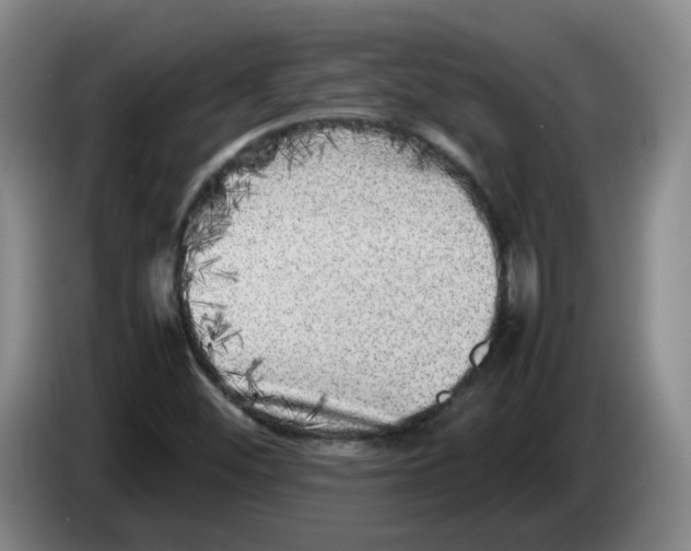 X0000086281452200704191936