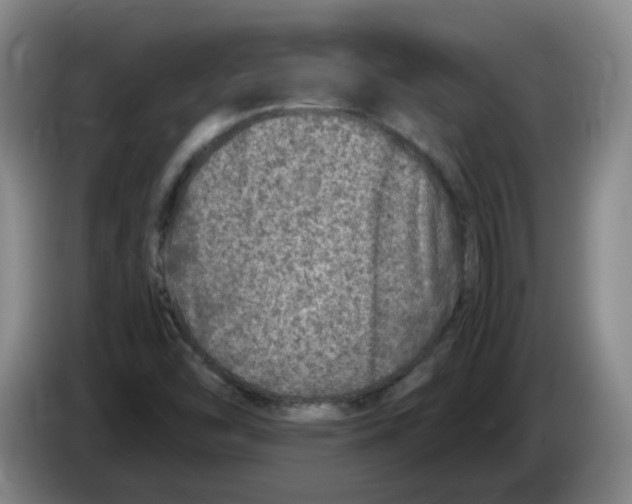 X0000086281454200704191936