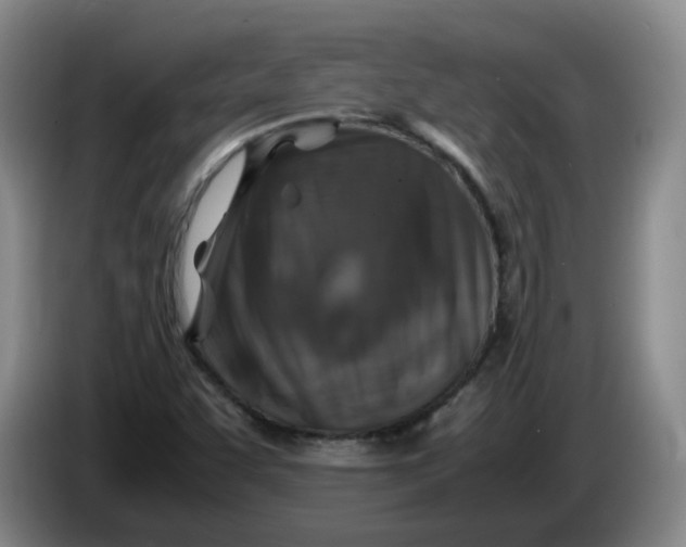 X0000086281455200704191936