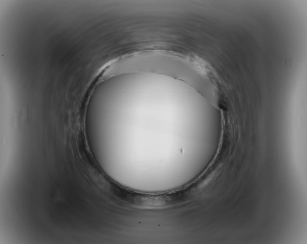 X0000086281457200704191936