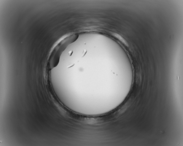 X0000086281458200704191936