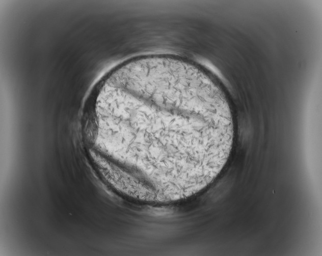 X0000086281460200704191936