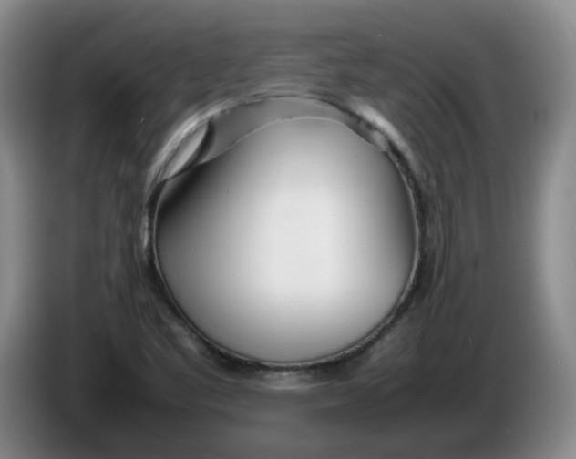 X0000086281461200704191936