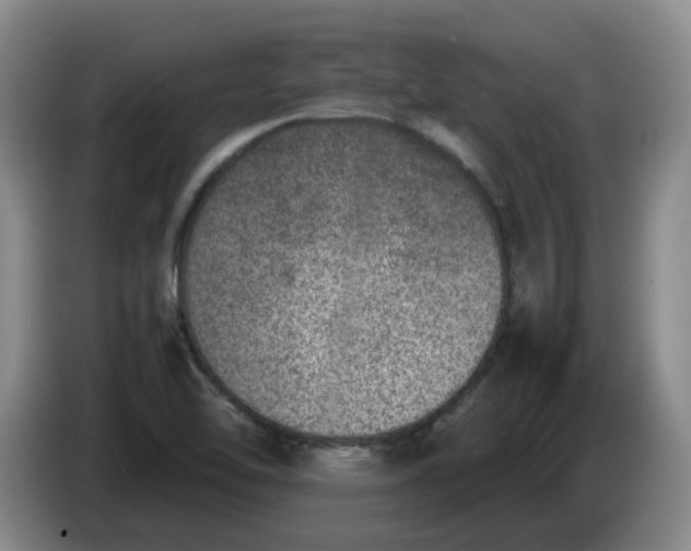 X0000086281462200704191936