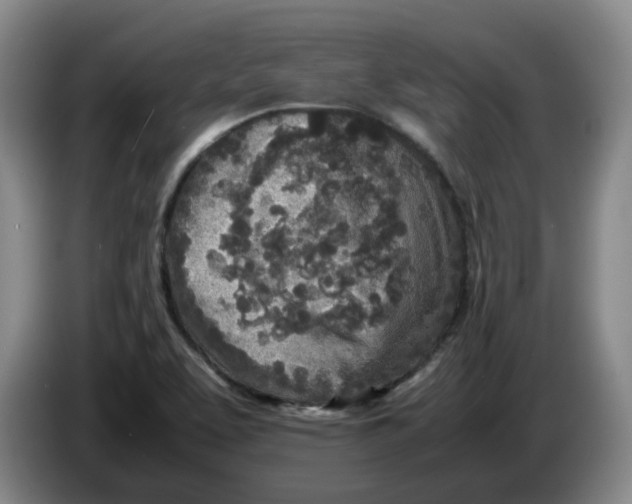 X0000086281463200704191936