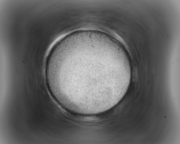 X0000086281464200704191936