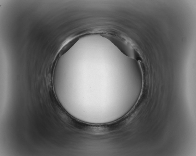 X0000086281465200704191936