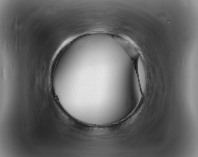 X0000086281469200704191935