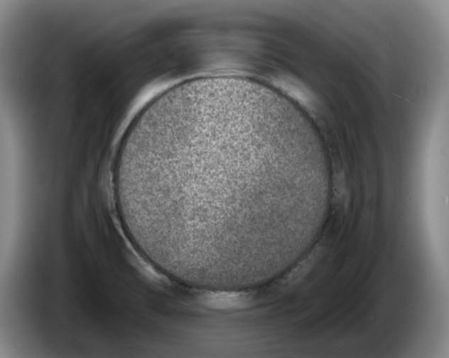 X0000086281470200704191935