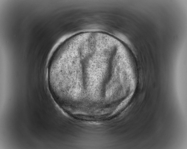 X0000086281472200704191935