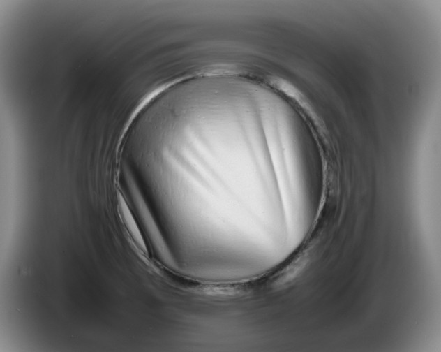 X0000086281473200704191935