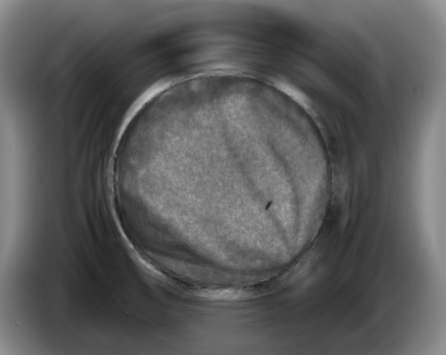 X0000086281474200704191935