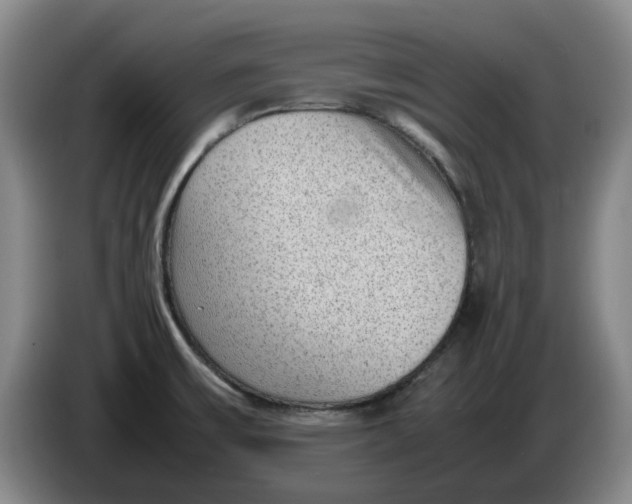 X0000086281475200704191935