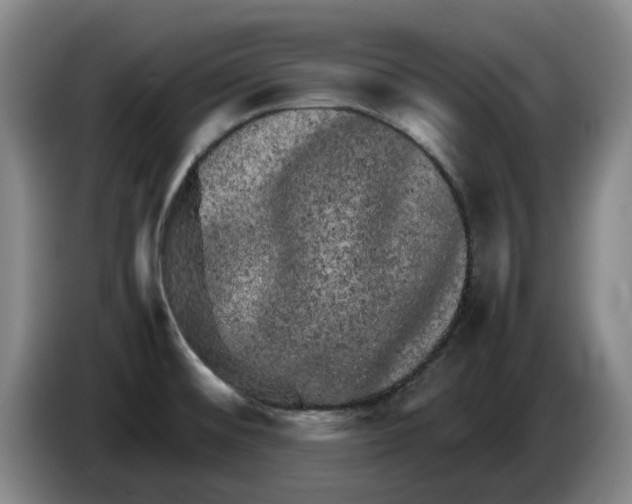 X0000086281476200704191935