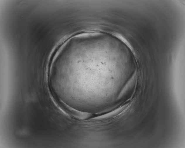 X0000086281477200704191935