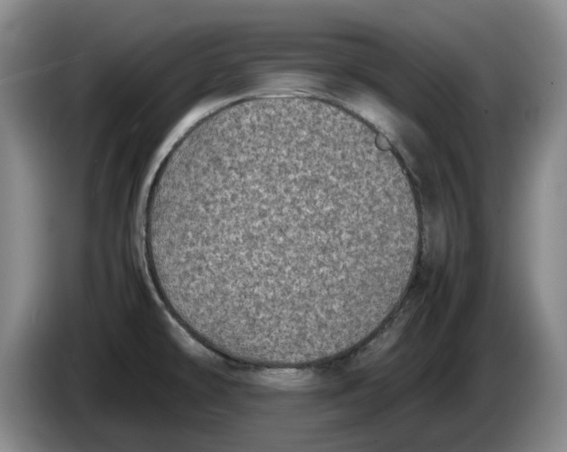 X0000086281478200704191935