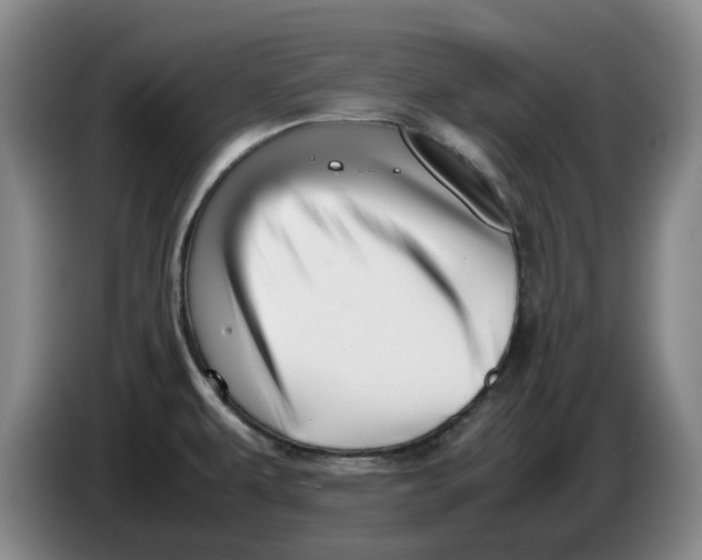 X0000086281479200704191935