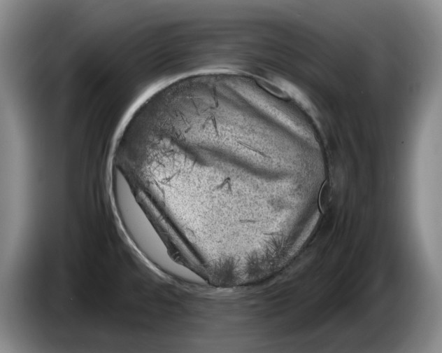 X0000086281480200704191935