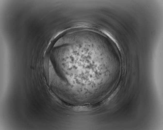 X0000086281481200704191935