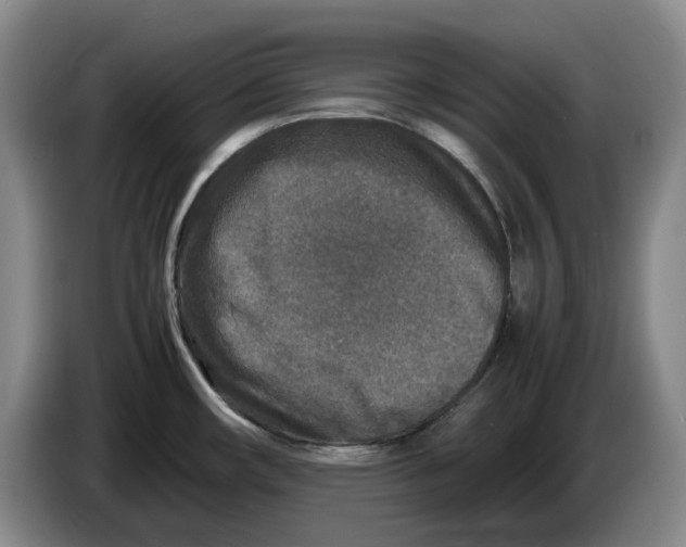 X0000086281482200704191935