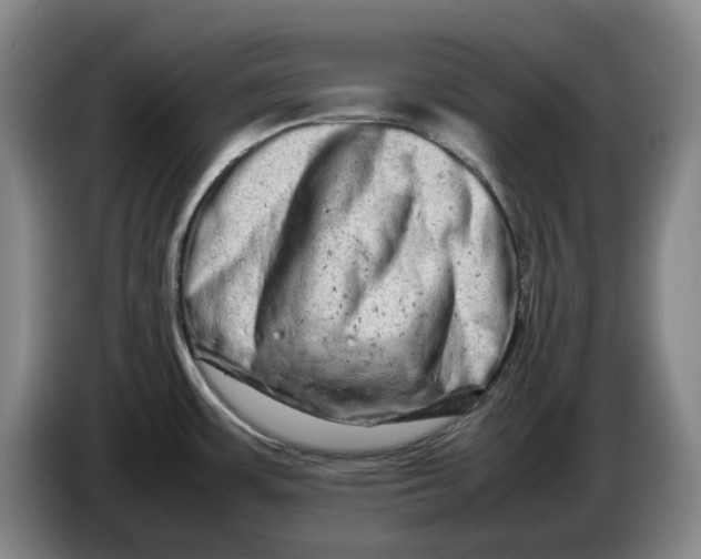 X0000086281483200704191935