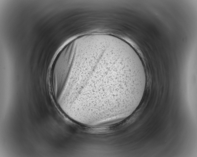 X0000086281486200704191935