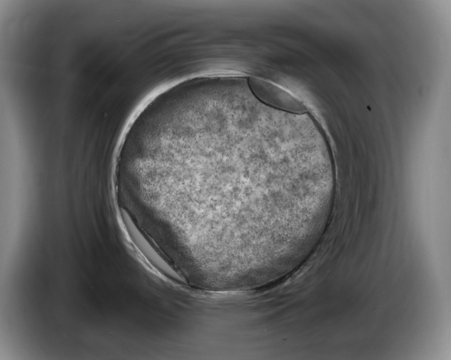 X0000086281488200704191935