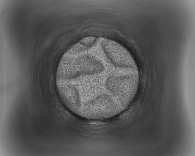 X0000086281489200704191935