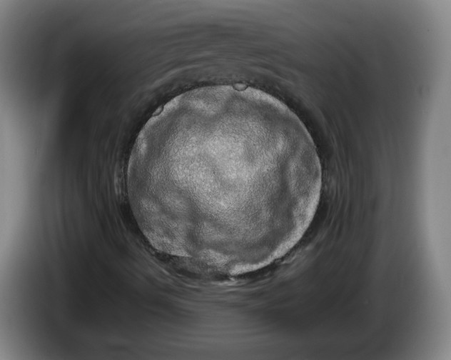 X0000086281490200704191935