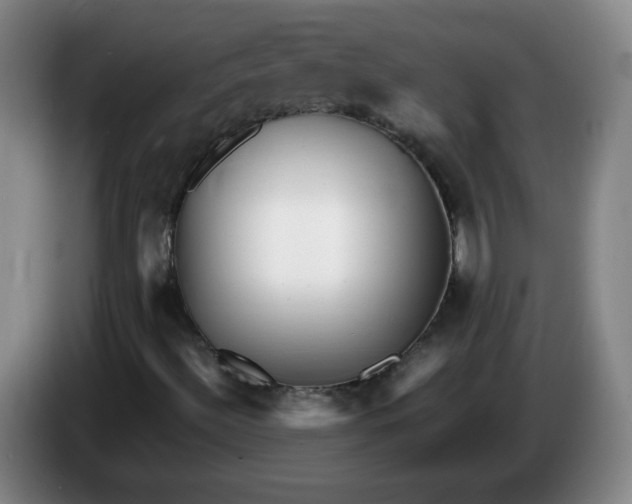 X0000086281492200704191935