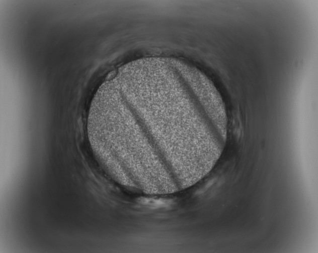 X0000086281493200704191935