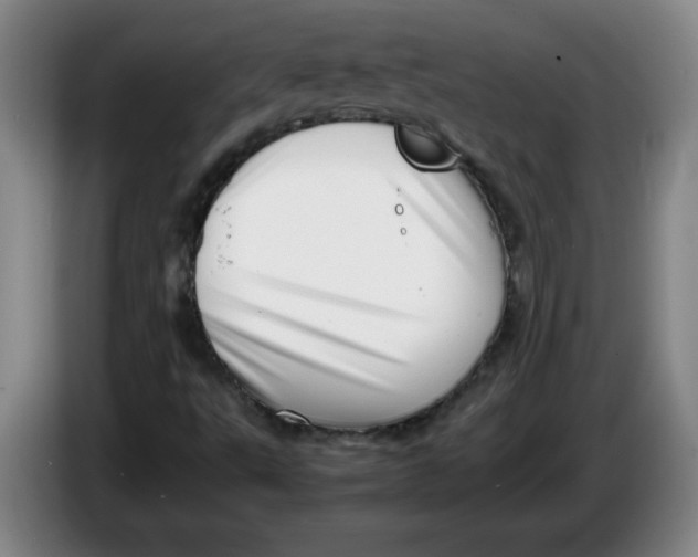 X0000086281495200704191935