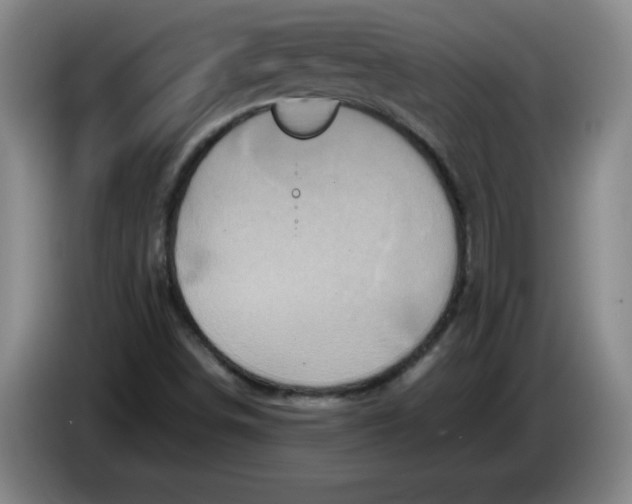 X0000086281498200704191935