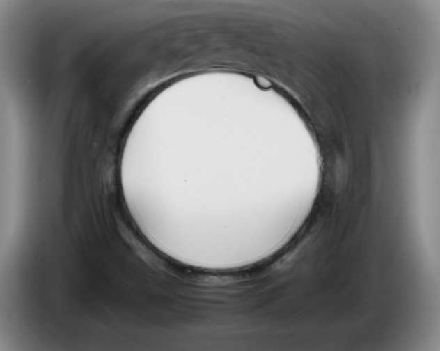 X0000086281499200704191935