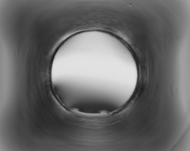 X0000086281500200704191935