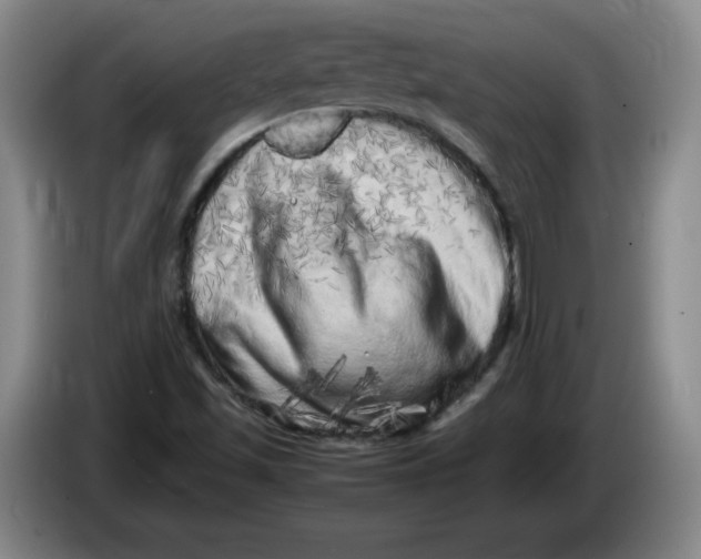 X0000086281501200704191935