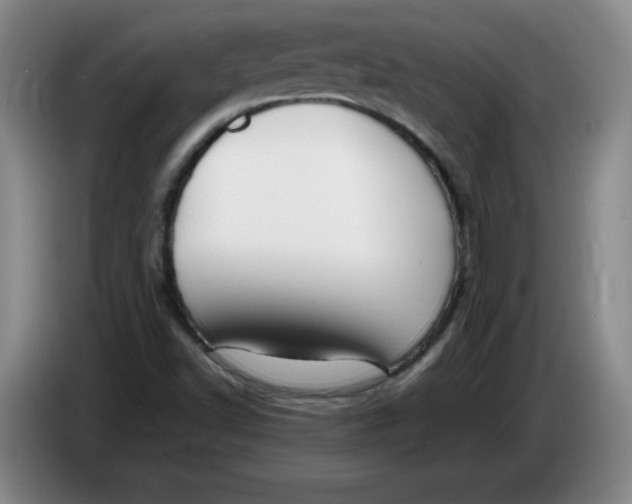 X0000086281502200704191935