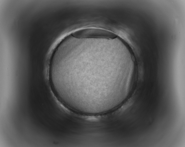 X0000086281504200704191935