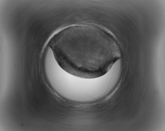 X0000086281506200704191935