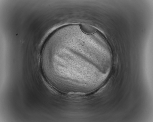 X0000086281507200704191935