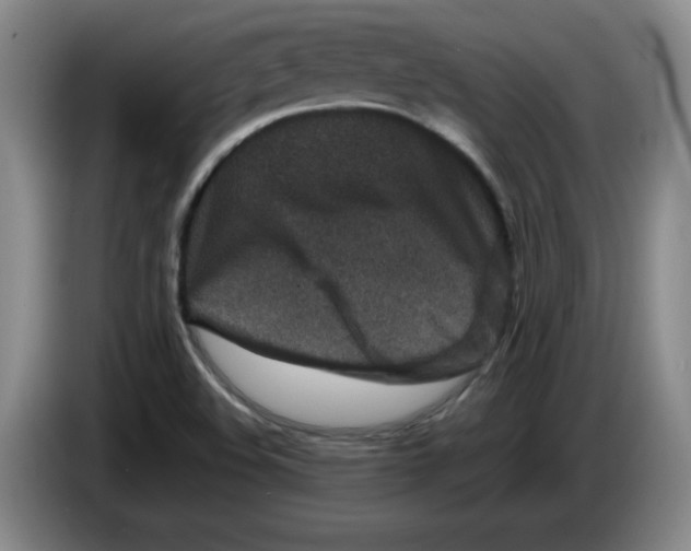 X0000086281508200704191935