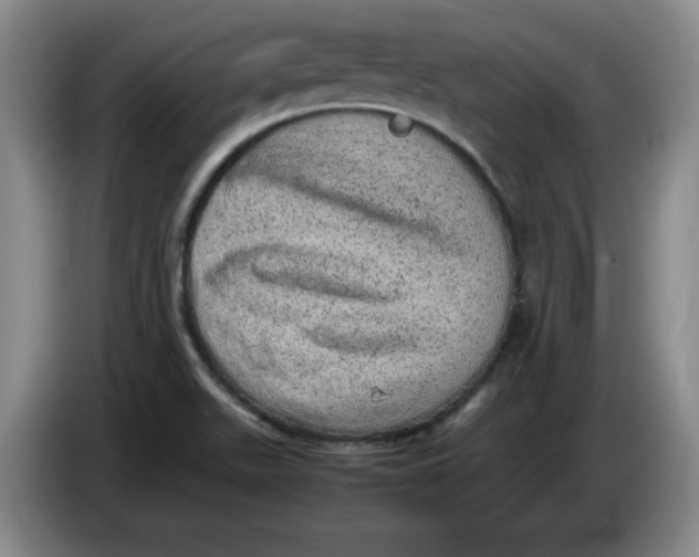 X0000086281511200704191935