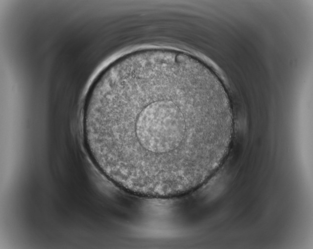 X0000086281514200704191935