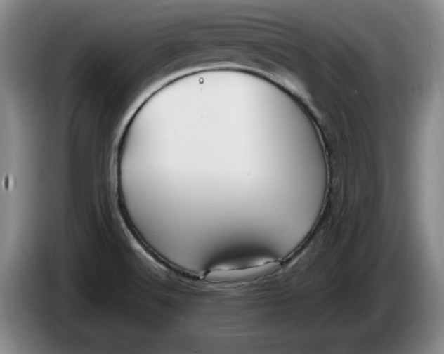 X0000086281516200704191935