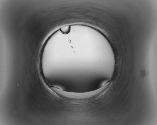 X0000086281518200704191935