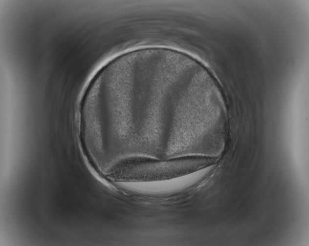 X0000086281519200704191935