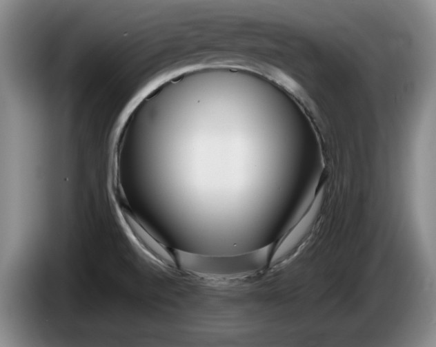 X0000086281520200704191935